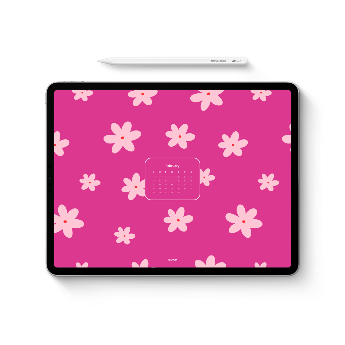 FEBRUARY 2024 WALLPAPERS Templix february-2024-wallpapers-templix